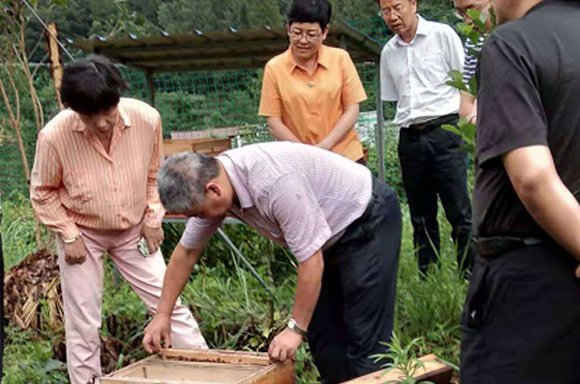 酉阳正宗海藻蜂蜜面膜基地